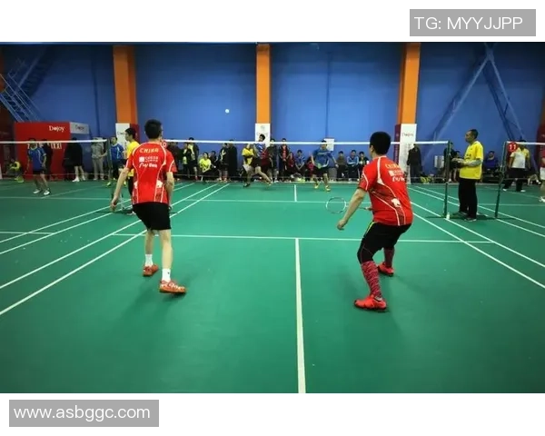 南京羽毛球队战术分析揭示其在全国羽毛球战术排行榜中名列第九的原因